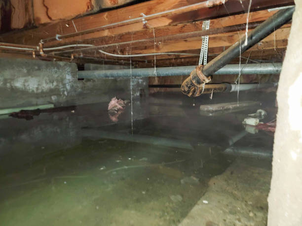 Best Emergency water extraction  in Ramsey, MN