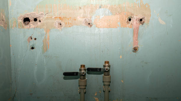 Best Mold removal after water damage  in Ramsey, MN