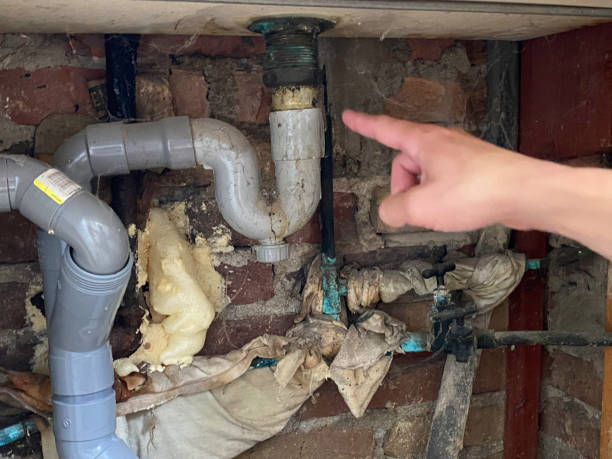 Best Ceiling water damage repair  in Ramsey, MN