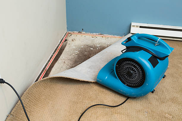 Water damage restoration mold remediation in Ramsey, MN
