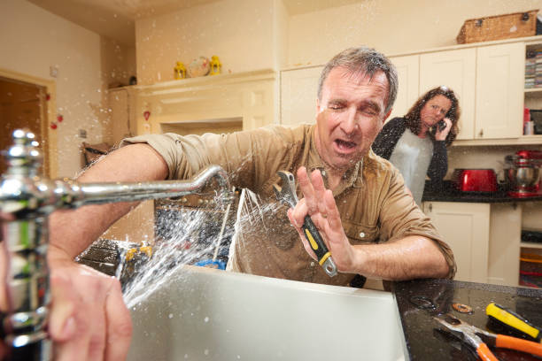 Best Water damage restoration near me  in Ramsey, MN